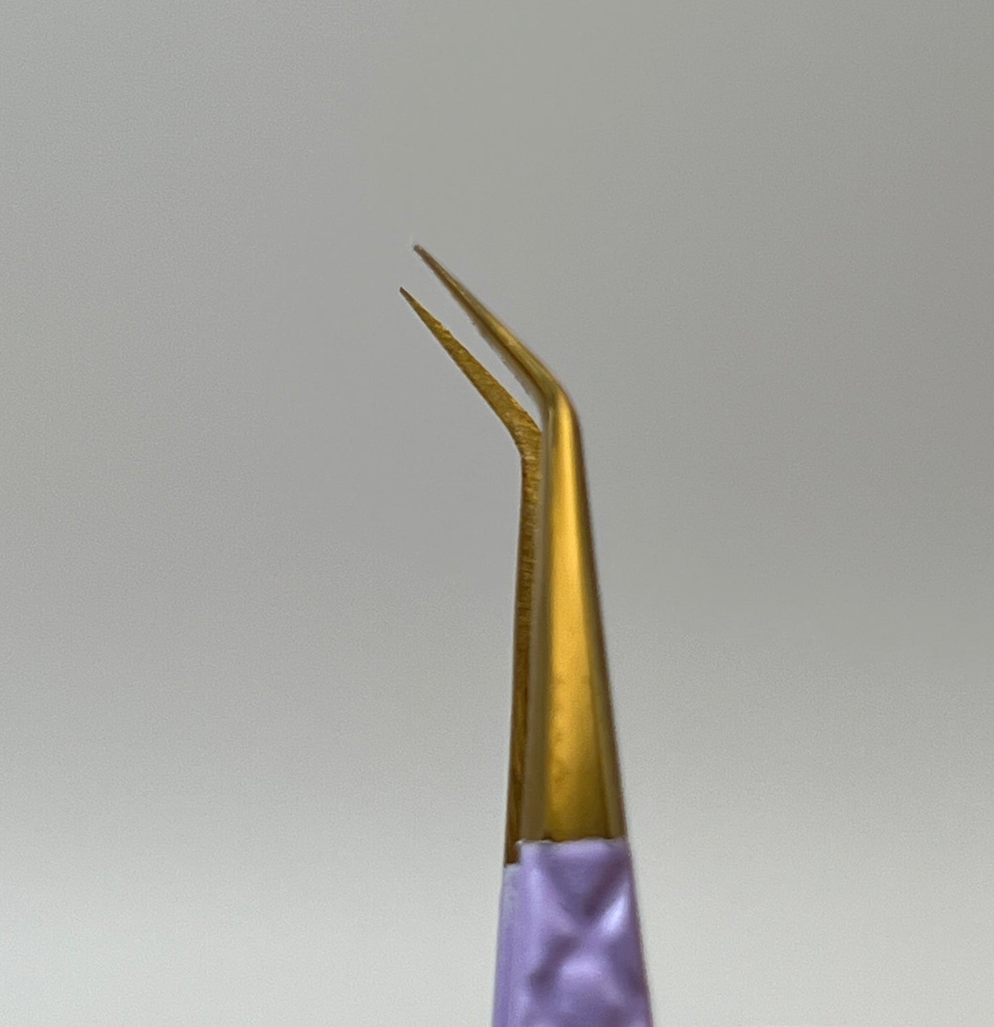 The Reign Collection