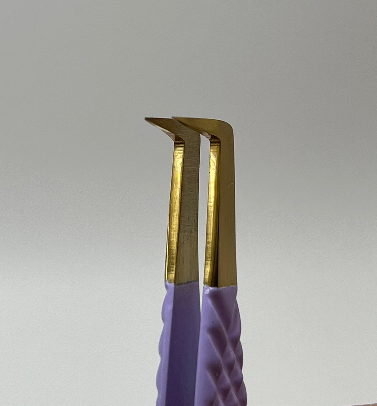 The Reign Collection